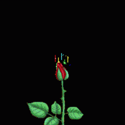 A Rose Is Surrounded By Fireworks And Stars GIF