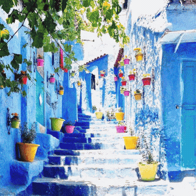 A Row Of Blue And White Buildings With Potted Plants On The Steps GIF