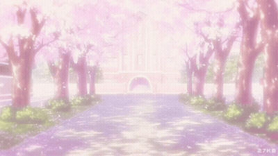 A Row Of Cherry Blossom Trees With Petals Falling From Them In Front Of A Building . GIF