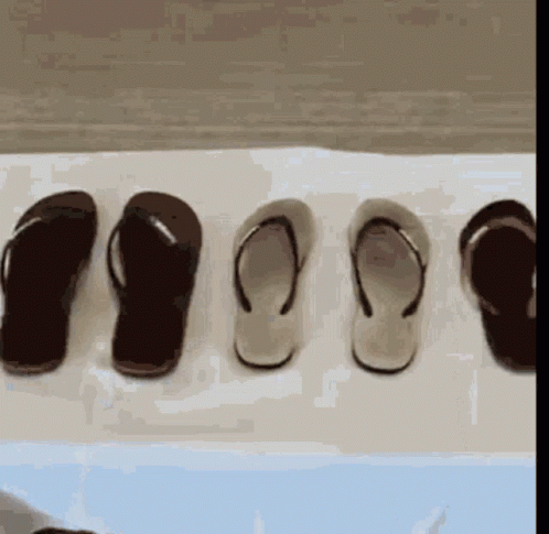 A Row Of Flip Flops Lined Up On A Table GIF