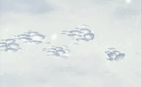 A Row Of Paw Prints In The Snow On A White Surface GIF
