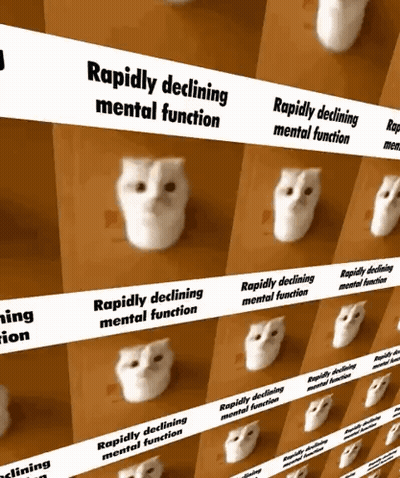 A Row Of White Owls With The Words Rapidly Declining Mental Function GIF