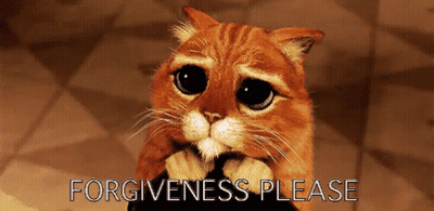 A Sad Cat With The Words Forgiveness Please On The Bottom GIF