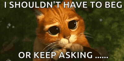 A Sad Cat With The Words I Should N't Have To Beg Or Keep Asking Below It GIF