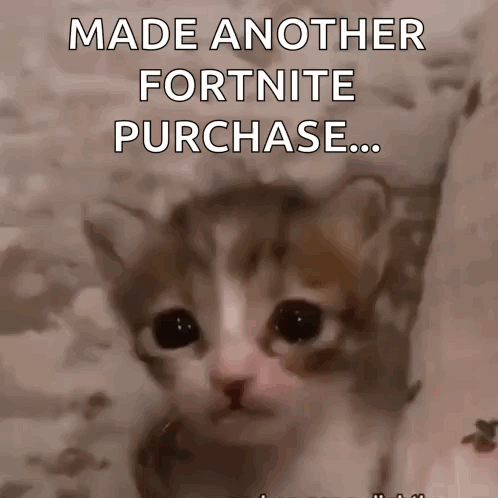 A Sad Cat With The Words Made Another Fortnite Purchase Written Above It GIF