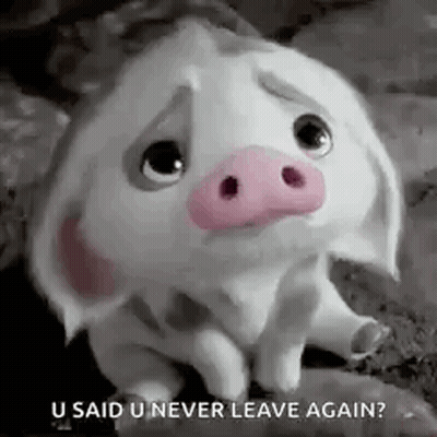 A Sad Pig With A Pink Nose Is Sitting On A Rock And Says `` U Said U Never Leave Again ? '' GIF