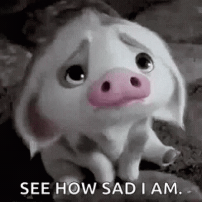 A Sad Pig With A Pink Nose Is Sitting On The Ground . GIF