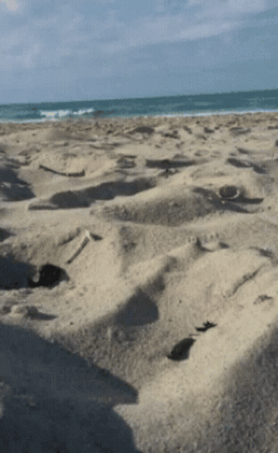 A Sandy Beach With A Shadow Of A Person On The Sand GIF