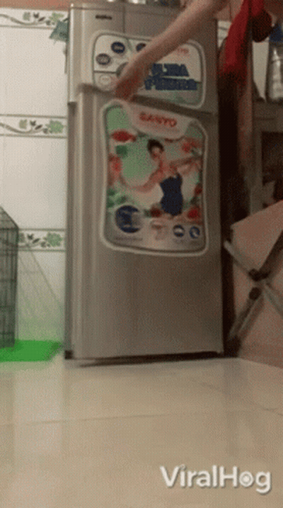 A Sanyo Refrigerator Is Being Opened By Someone GIF