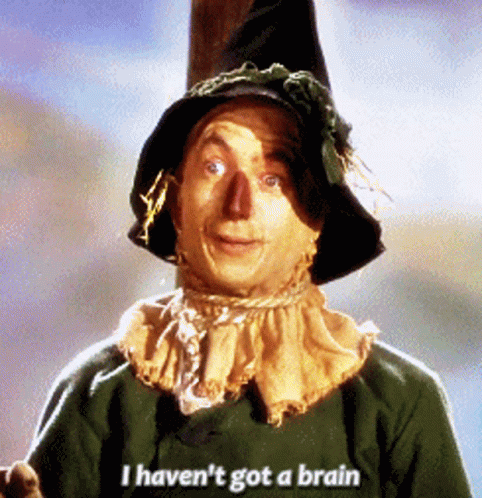Scarecrow With I Haven't Got A Brain Shirt GIF