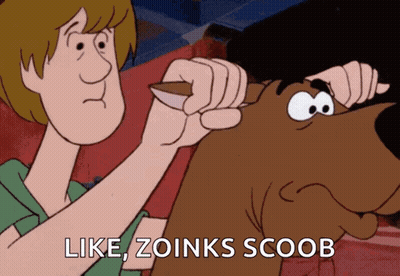 A Scooby Doo Cartoon With The Words Like Zoinks Scoob On The Bottom GIF
