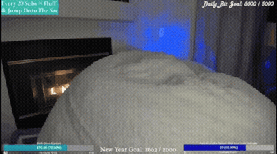 A Screen Shot Of A Twitch Stream With A Daily Bit Goal Of 6000/6000 GIF
