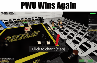 A Screen Shot Of A Video Game With Pwu Wins Again GIF
