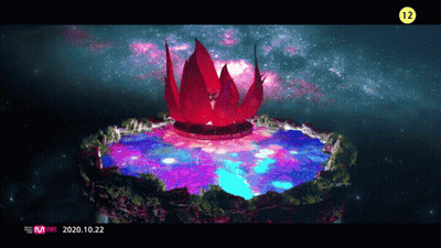 A Screen Shows A Lotus Flower In The Middle Of A Lake And The Date 2020.10.22 GIF