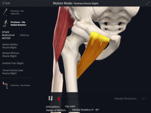 A Screen Shows A Skeleton And Muscles And Says Motion Mode On The Top GIF