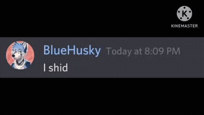 A Screenshot Of A Blue Husky Today At 8:09 Pm I Shid GIF