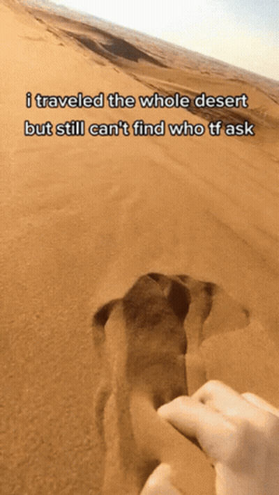 A Screenshot Of A Desert With The Words I Traveled The Whole Desert But Still Can 'T Find Who Tf Ask On It GIF
