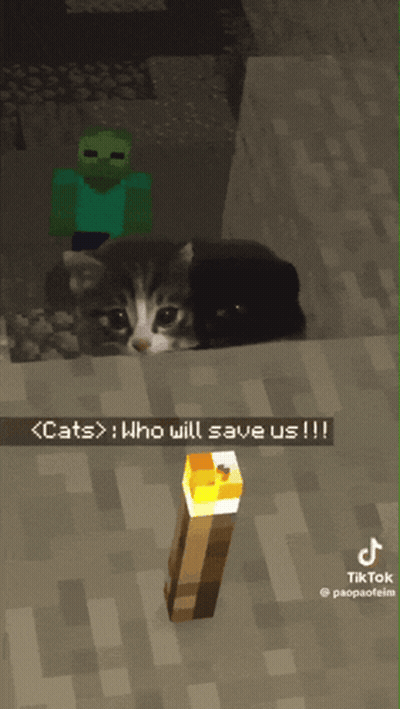 A Screenshot Of A Minecraft Game With A Cat And A Torch GIF