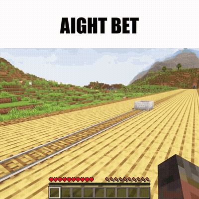 A Screenshot Of A Minecraft Game With The Words " Aight Bet " At The Top GIF
