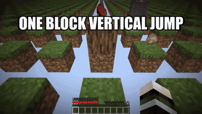A Screenshot Of A Minecraft Game With The Words One Block Vertical Jump GIF