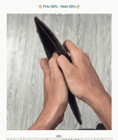A Screenshot Of A Person Holding An Empty Wallet With The Words Prev Gifs Next Gifs At The Bottom GIF