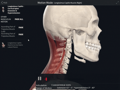 A Screenshot Of A Skeleton With The Words Motion Mode At The Top Of The Screen GIF