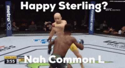 A Screenshot Of A Ufc Fight With The Caption Happy Sterling GIF