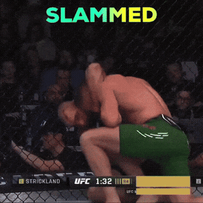 A Screenshot Of A Ufc Fight With The Words Slammed On The Top GIF