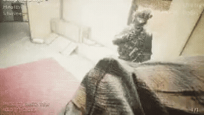 A Screenshot Of A Video Game Shows A Skeleton In A Room . GIF