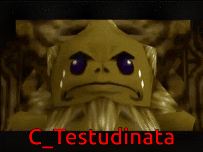 A Screenshot Of A Video Game With The Name C_testudinata On The Bottom GIF
