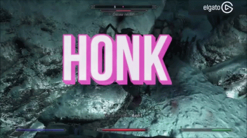 A Screenshot Of A Video Game With The Word Honk On It GIF