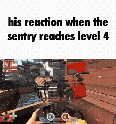 A Screenshot Of A Video Game With The Words " His Reaction When The Sentry Reaches Level 4 " GIF