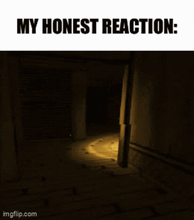 A Screenshot Of A Video Game With The Words " My Honest Reaction " At The Top GIF