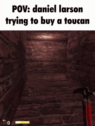 A Screenshot Of A Video Game With The Words Pov Daniel Larson Trying To Buy A Toucan GIF