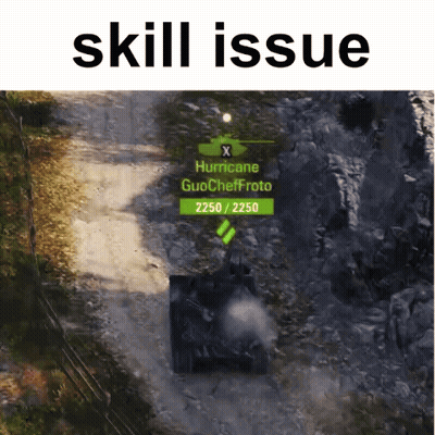 A Screenshot Of A Video Game With The Words Skill Issue On The Bottom GIF