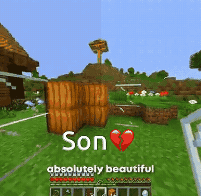 A Screenshot Of A Video Game With The Words Son Absolutely Beautiful And A Broken Heart GIF