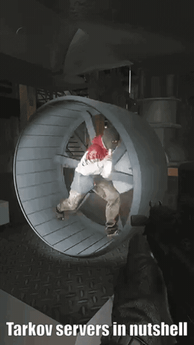 A Screenshot Of A Video Game With The Words Tarkov Servers In Nutshell At The Top GIF