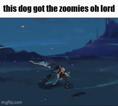 A Screenshot Of A Video Game With The Words This Dog Got The Zoomies Oh Lord GIF