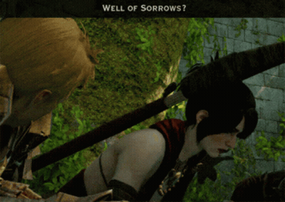 A Screenshot Of A Video Game With The Words Well Of Sorrows On The Bottom GIF