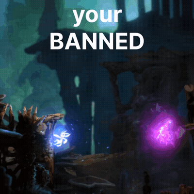 A Screenshot Of A Video Game With The Words " Your Banned " Above It GIF