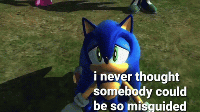 A Screenshot Of Sonic The Hedgehog With A Caption That Says I Never Thought Somebody Could Be So Misguided GIF