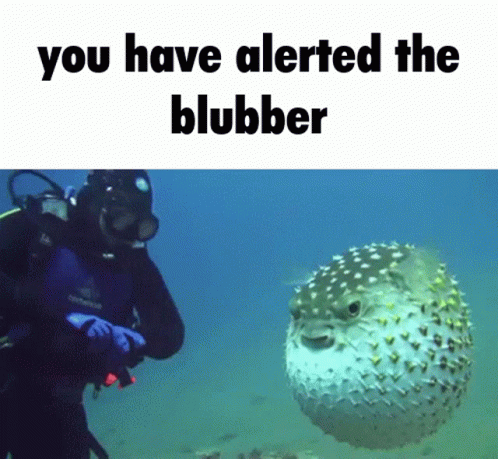 A Scuba Diver Is Looking At A Blobber In The Water GIF