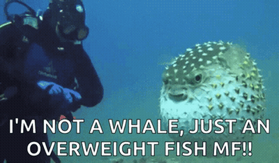 A Scuba Diver Is Standing Next To A Puffer Fish That Says I 'M Not A Whale GIF
