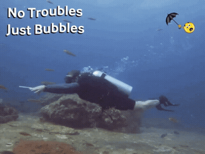 A Scuba Diver Is Surrounded By Fish And The Words No Troubles Just Bubbles GIF