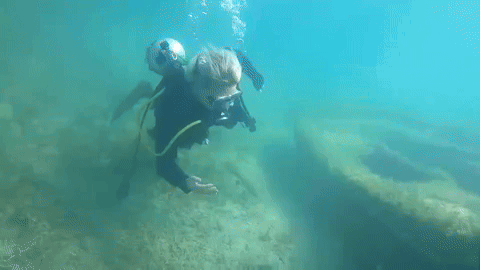 A Scuba Diver Is Swimming In The Ocean Near A Coral Reef GIF