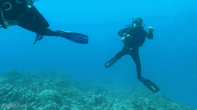 A Scuba Diver Is Swimming In The Ocean With Imgflip.com In The Bottom Right Corner GIF