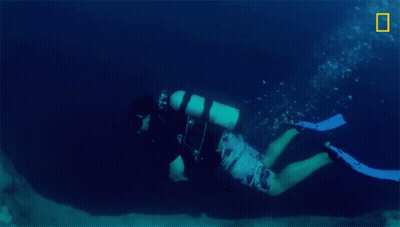 A Scuba Diver Is Swimming In The Ocean With The National Geographic Logo In The Background GIF