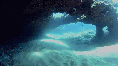 Scuba Diver Swimming In Cave GIF