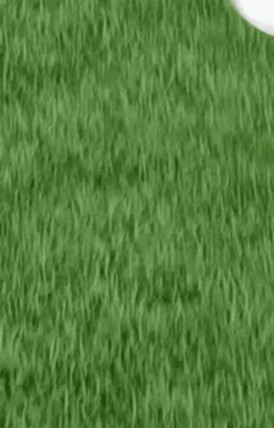 A Seagull Is Eating A Piece Of Bread On The Grass GIF