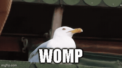 A Seagull Is Sitting On A Ledge With The Word Womp Written On It . GIF